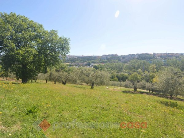 terreno agricolo in vendita a Perugia in zona Elce
