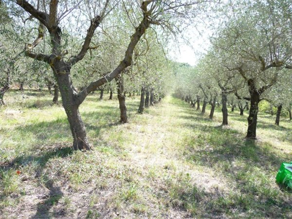 casa indipendente in vendita a Perugia in zona Prepo
