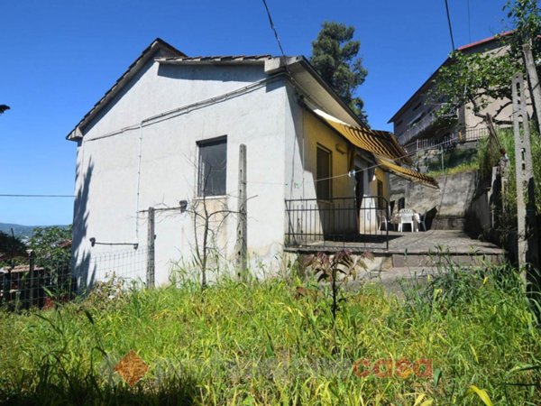 immagine annuncio 0 di 14