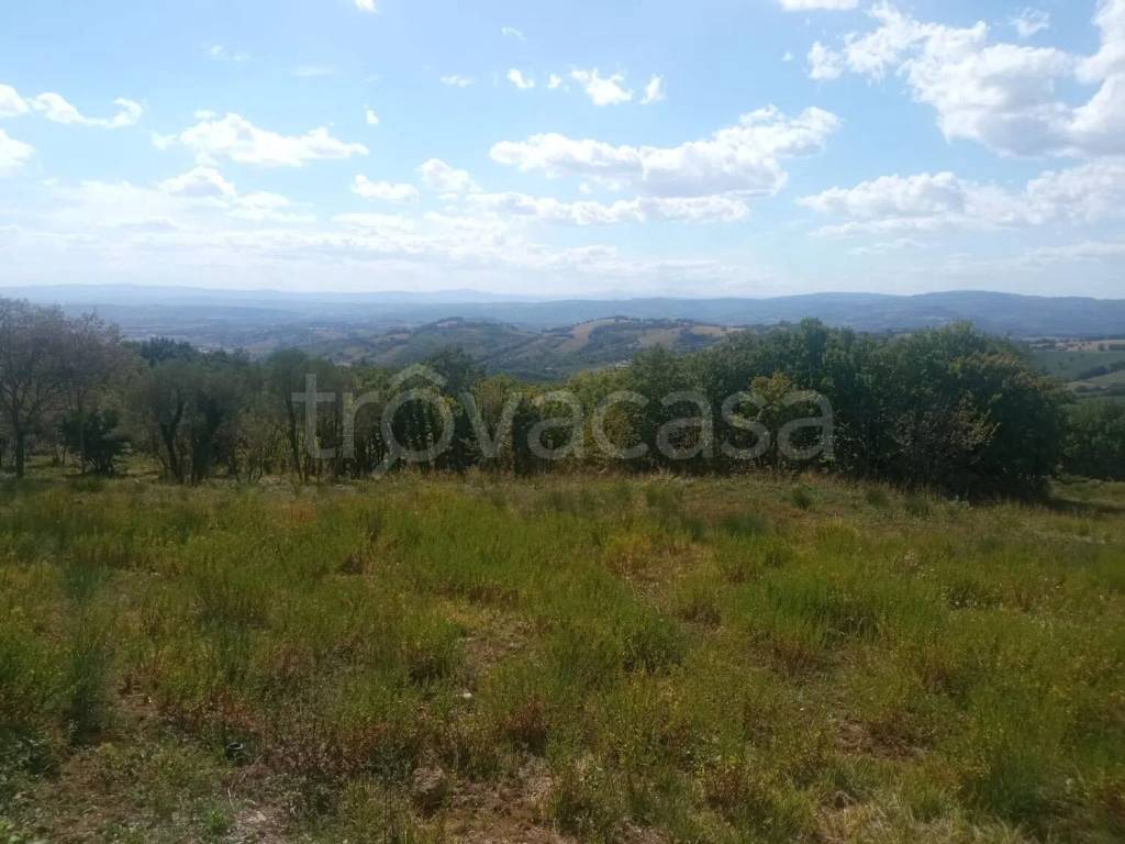 terreno agricolo in vendita a Perugia in zona Pianello