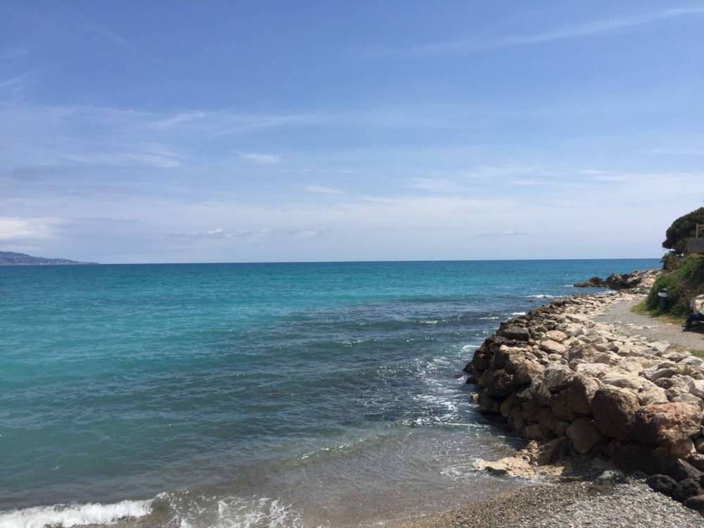 immagine annuncio 0 di 13