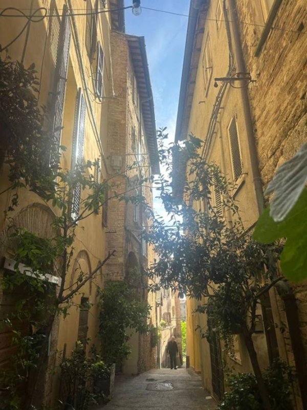appartamento in vendita a Perugia in zona Centro Città