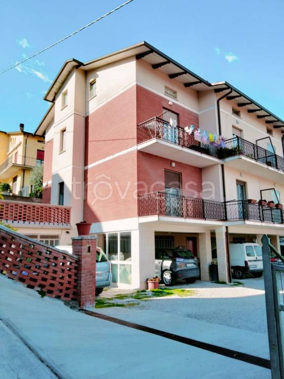 immagine annuncio 0 di 15