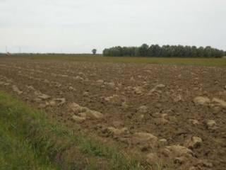 terreno agricolo in vendita a Perugia in zona Fontignano