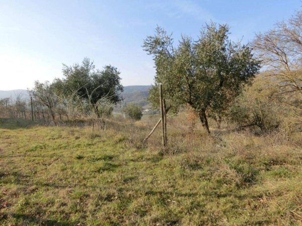 terreno agricolo in vendita a Perugia