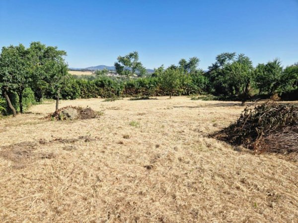 terreno agricolo in vendita a Perugia in zona San Martino In Campo