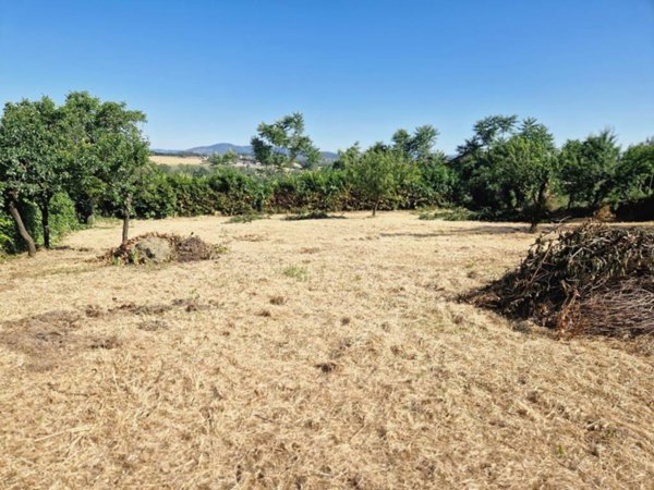 terreno agricolo in vendita a Perugia in zona San Martino in Colle