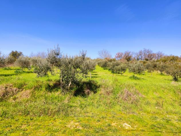 terreno agricolo in vendita a Perugia in zona Prepo