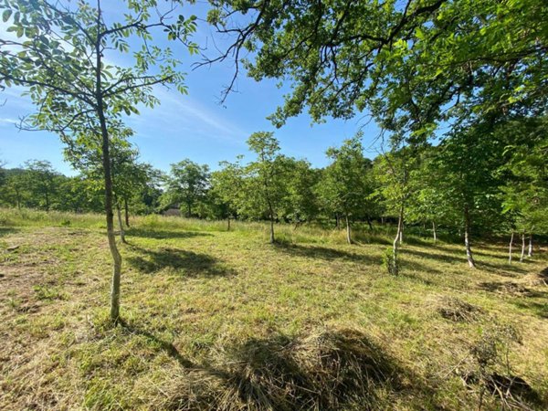 terreno agricolo in vendita a Perugia in zona Collestrada