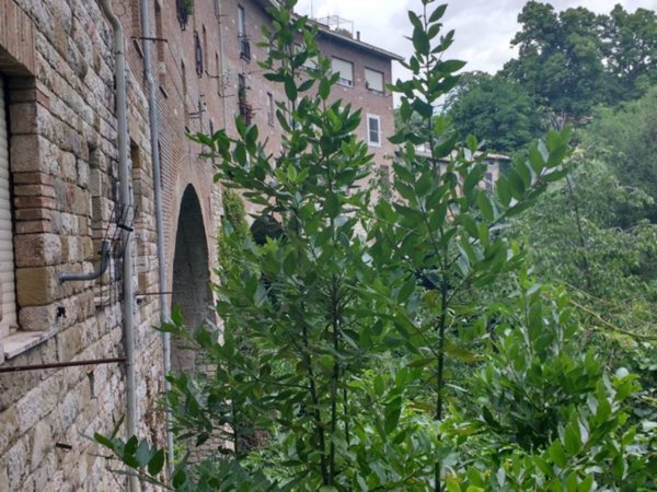 appartamento in vendita a Perugia in zona Elce