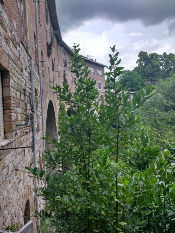 appartamento in vendita a Perugia in zona Centro Città