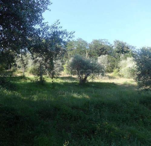 terreno agricolo in vendita a Perugia in zona Monteluce