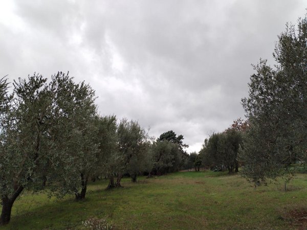 terreno agricolo in vendita a Perugia in zona Centro Città