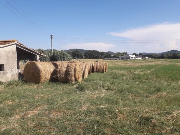 terreno agricolo in vendita a Perugia in zona Centro Città