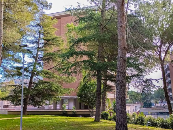 appartamento in vendita a Perugia in zona Madonna Alta