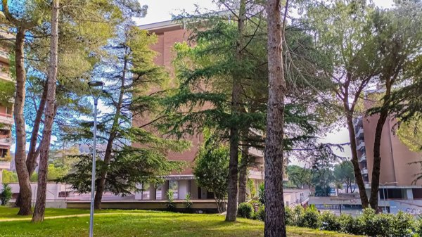 appartamento in vendita a Perugia in zona Madonna Alta