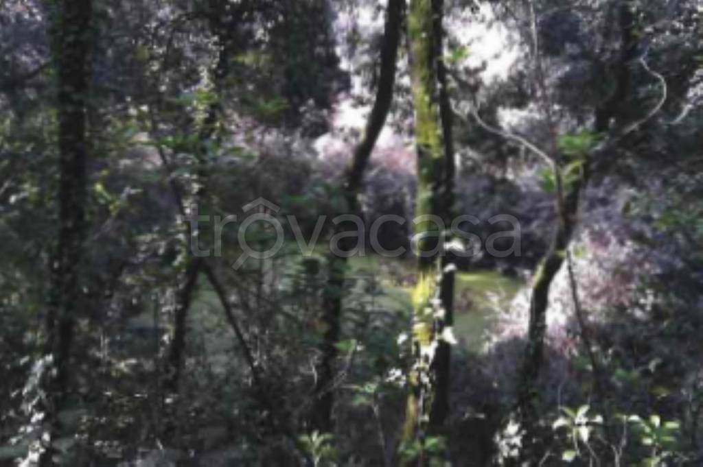 terreno agricolo in vendita a Perugia in zona Città della Domenica