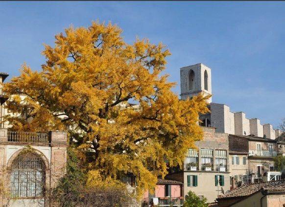 appartamento in vendita a Perugia in zona Elce