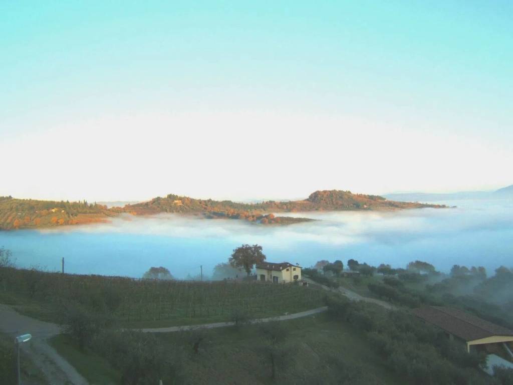 terreno agricolo in vendita a Perugia in zona Cordigliano