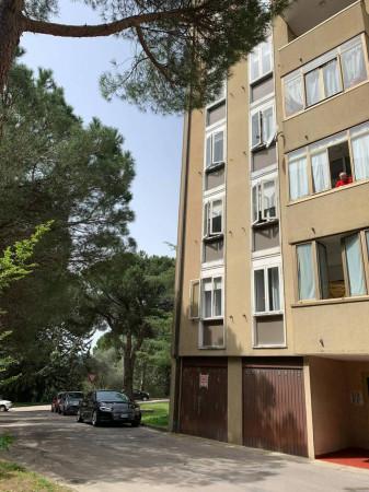 negozio in vendita a Perugia in zona Ferro di Cavallo