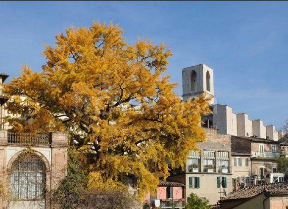 appartamento in vendita a Perugia in zona Centro Città