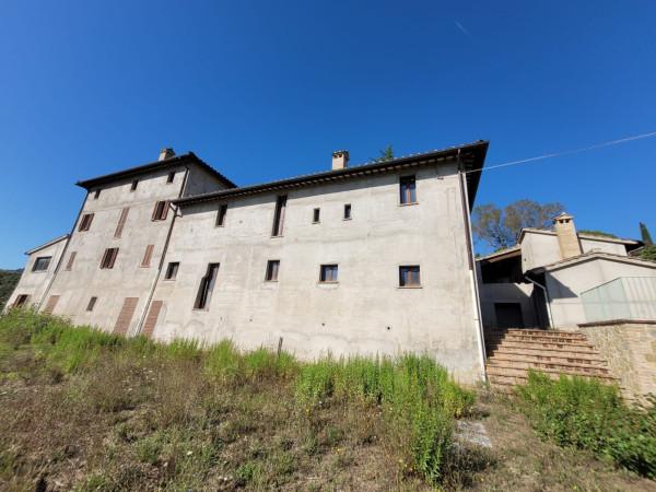 negozio in vendita a Perugia in zona Montelaguardia