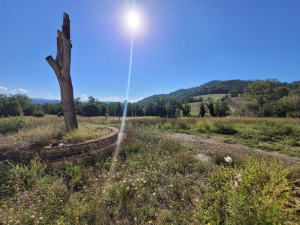 negozio in vendita a Perugia in zona Montelaguardia