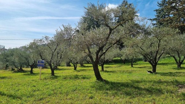 terreno agricolo in vendita a Perugia in zona Villa Pitignano