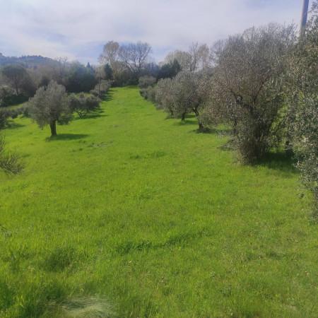 ufficio in vendita a Perugia in zona Montelaguardia