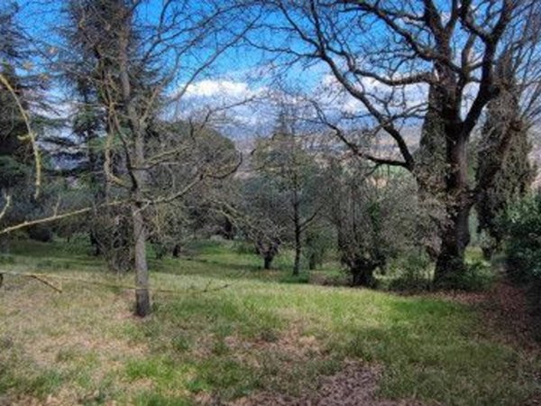 negozio in vendita a Perugia in zona Montelaguardia