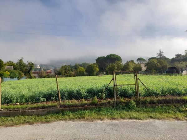 negozio in vendita a Perugia in zona Sant'Andrea delle Fratte