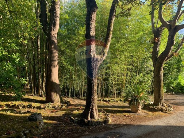 casa indipendente in vendita a Perugia in zona Centro Città