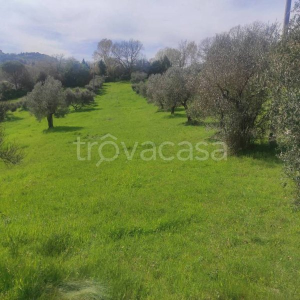 ufficio in vendita a Perugia in zona Montelaguardia