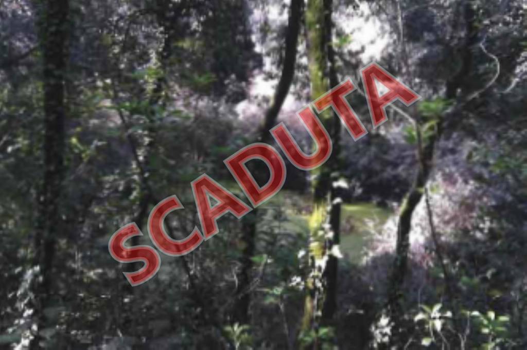 terreno edificabile in vendita a Perugia in zona Bosco