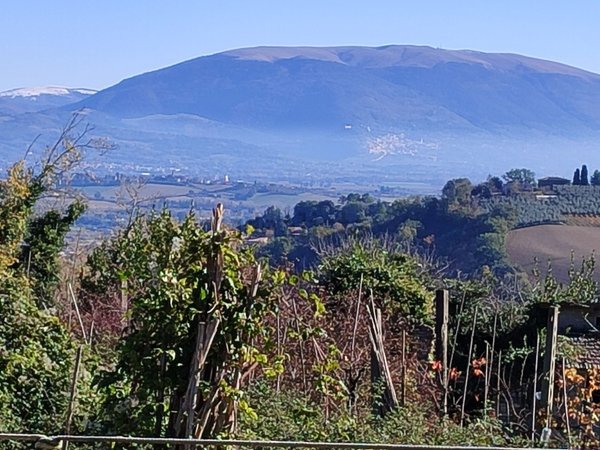 casa indipendente in vendita a Perugia in zona Monteluce