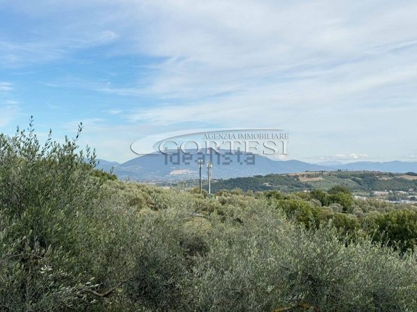 terreno agricolo in vendita a Perugia