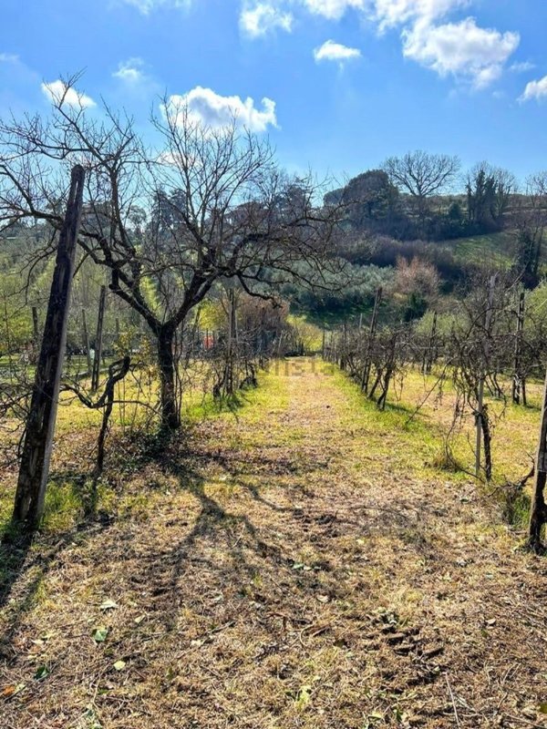 terreno agricolo in vendita a Perugia in zona Centro Città