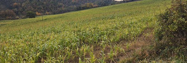 terreno edificabile in vendita a Perugia in zona Montelaguardia