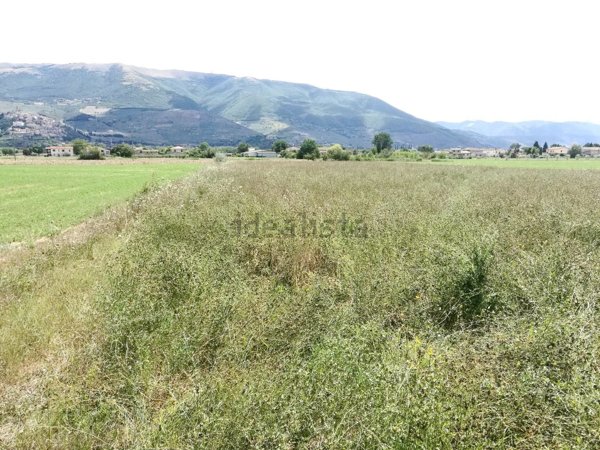 terreno agricolo in vendita a Perugia in zona Pila