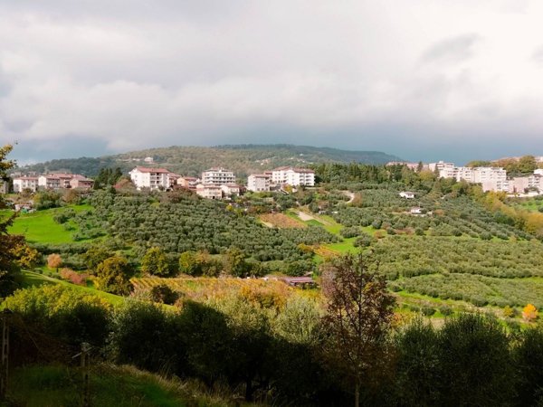 terreno agricolo in vendita a Perugia in zona Montelaguardia