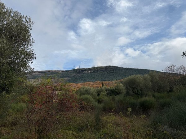 casa indipendente in vendita a Perugia in zona Colle Umberto I