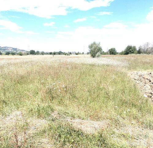 terreno agricolo in vendita a Perugia in zona Pila