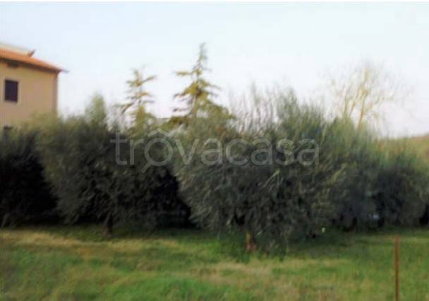 appartamento in vendita a Perugia in zona Pianello