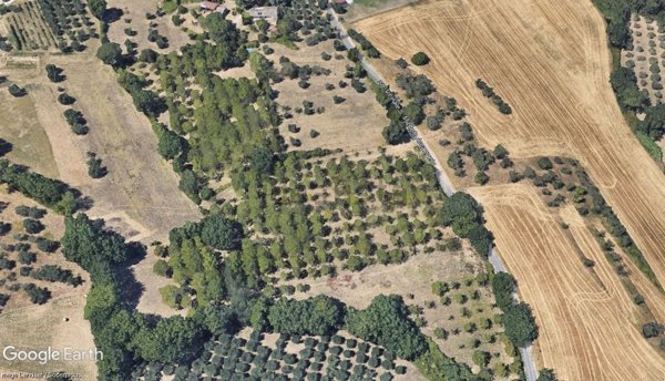 terreno agricolo in vendita a Perugia in zona Monteluce