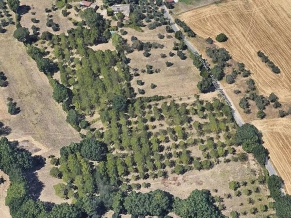 terreno agricolo in vendita a Perugia in zona Monteluce