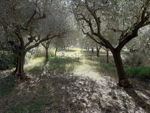 appartamento in vendita a Perugia in zona Pianello