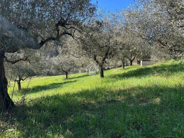 terreno agricolo in vendita a Perugia in zona Monteluce