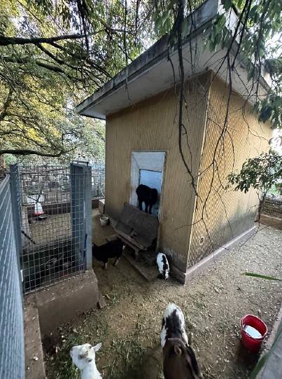 locale commerciale in vendita a Perugia in zona Ponte San Giovanni