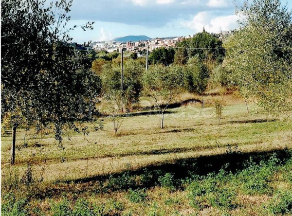 terreno agricolo in vendita a Perugia in zona Madonna Alta