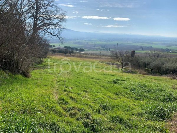 terreno edificabile in vendita a Perugia in zona San Martino In Campo